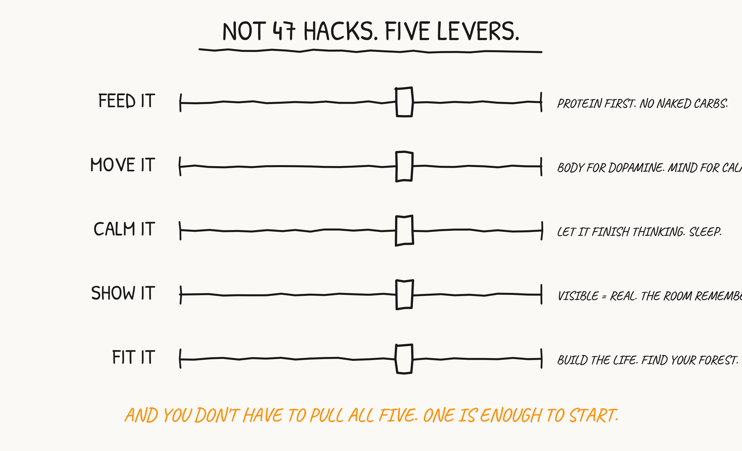 The Five Levers diagram